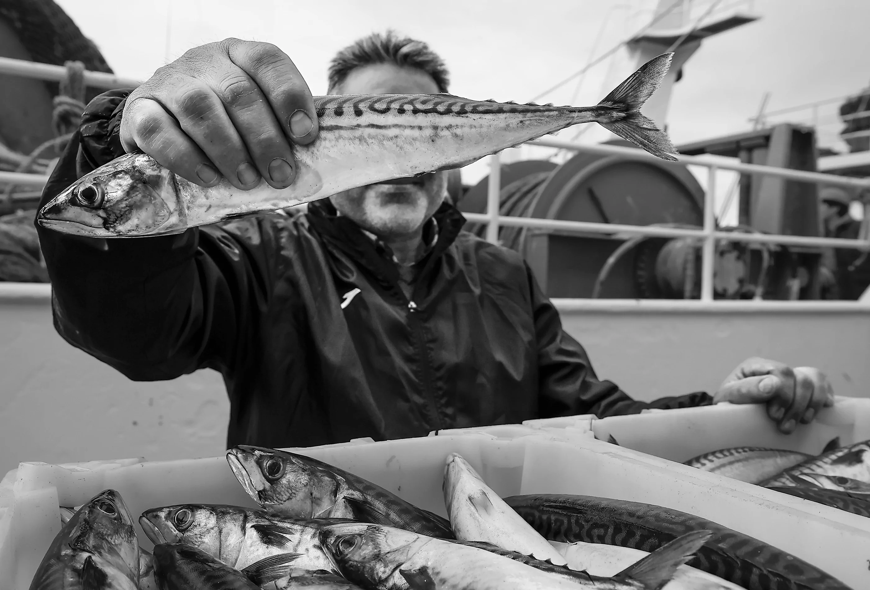 Salitre en la sangre