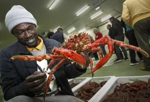 Salitre en la sangre